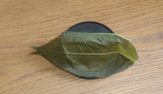 長命寺の桜餅｜三枚の葉に包まれた、江戸の春